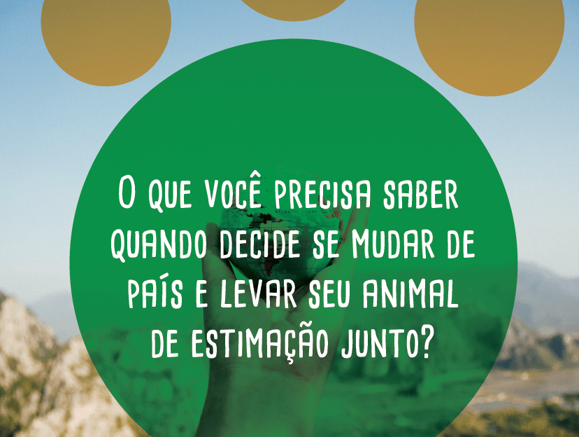 Blog-Fevereiro