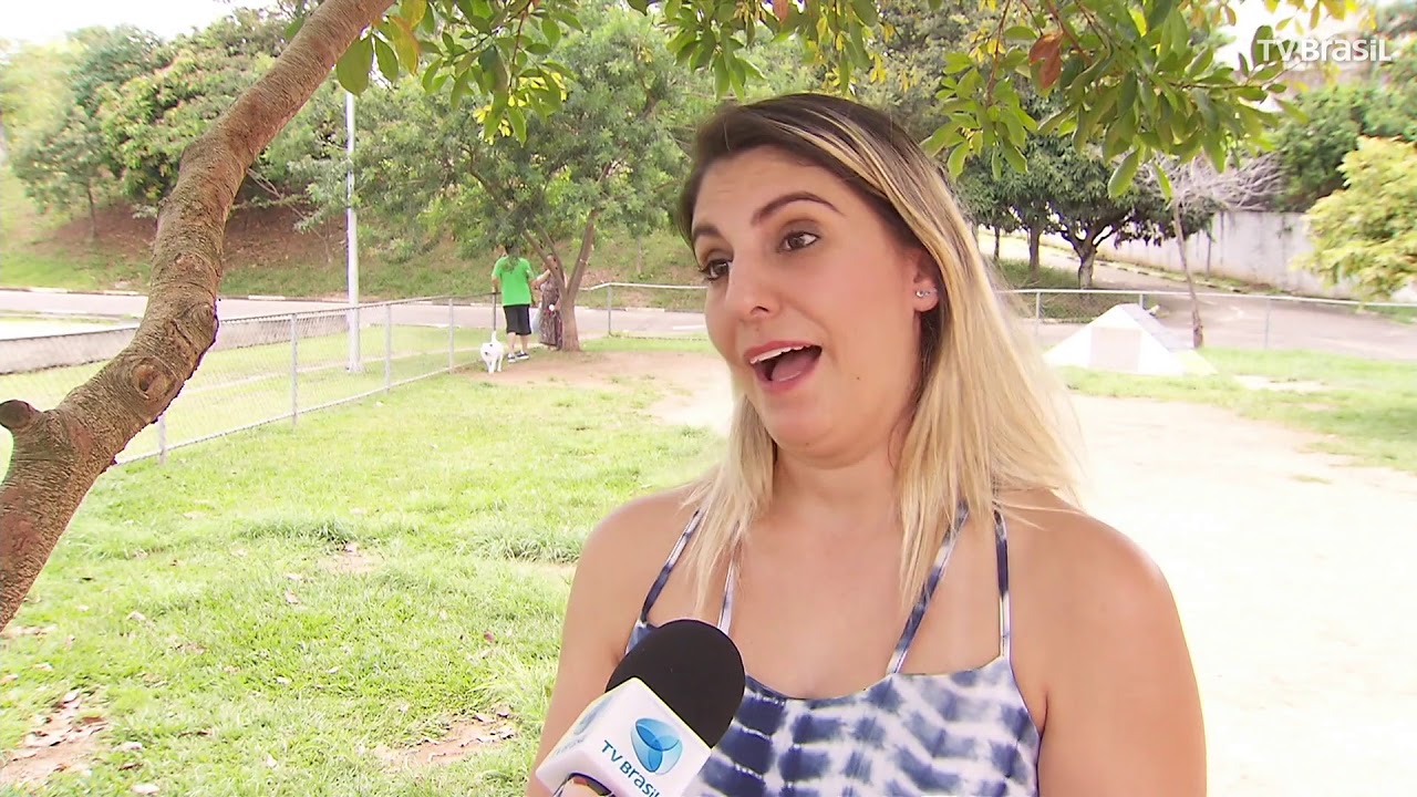 TV Brasil – Repórter Brasil – Quais cuidados devo ter com meu pet antes de viajar?