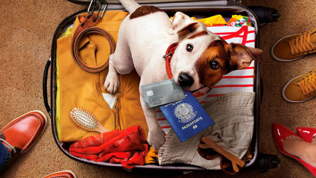 Viajar com cachorro para o México capa Viajar com cachorro para o México capa